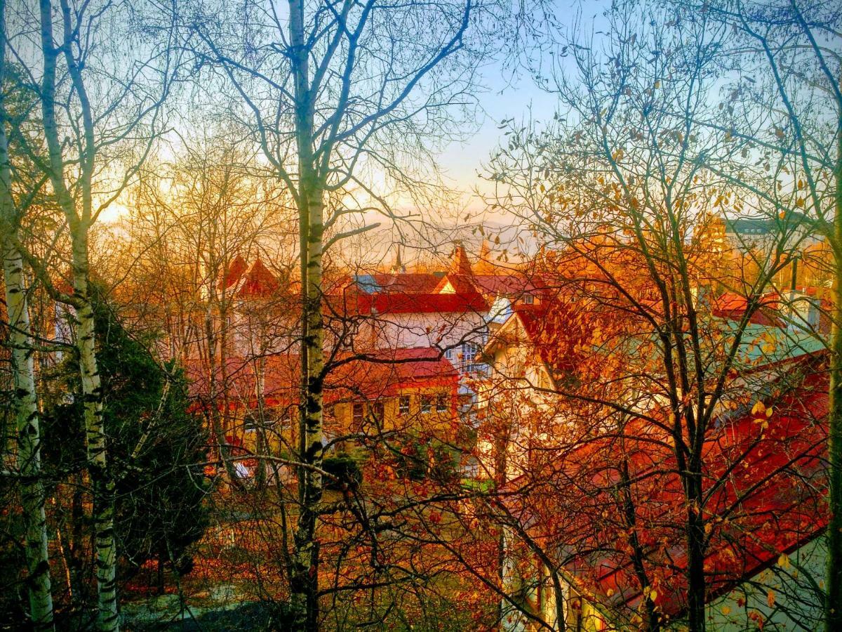 Apartment Lucy - Primo Tatry Stary Smokovec Vysoké Tatry المظهر الخارجي الصورة